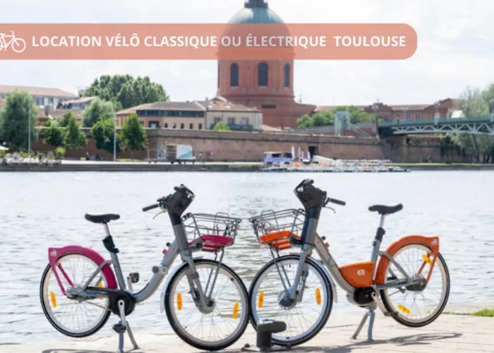 Hébergement de vacances Maginifique maison 90m2 avec terrasse - Côté pavé, Centre-ville Toulouse Toulouse